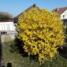 Frühling, © privat Frühling, © privat