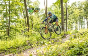 Südtiroler Trail, © Wienerwald Tourismus / Wienerwald Trails