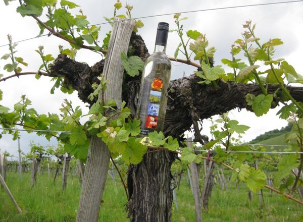 meissner2, &copy; mei&szlig;ner