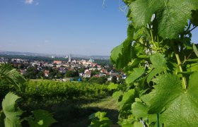 Klosterneuburg, &copy; Klbg