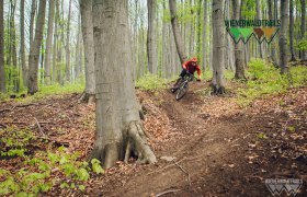 Sauberg Trail, © Wienerwald Tourismus / Wienerwald Trails