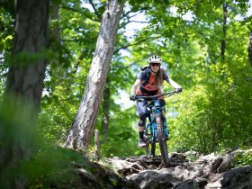 MTB Vienna Woods, &copy; Wienerwald Tourismus GmbH / Markus Fr&uuml;hmann
