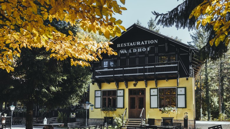 Ein gelbes Geb&auml;ude mit der Aufschrift 'Restauration Waldhof' umgeben von B&auml;umen und einem gro&szlig;en Gastgarten mit Tischen und B&auml;nken.