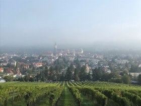 Blick auf die Riedenlandschaft und das Stift Klosterneuburg, © Wienerwald