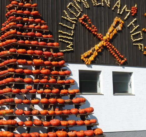 Franzlbauer, &copy; franzlbauer