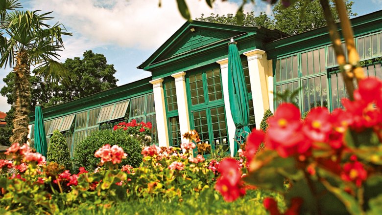 A green building with large windows, surrounded by colorful flowers and palm trees, under a blue sky.