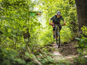 Sleeping Beauty Trail, &copy; Wienerwald Tourismus / Wienerwald Trails