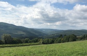 Klosterneuburger Genussradtour, © Wienerwald Tourismus