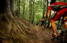 Mountainbiken im Wienerwald, © derstandard