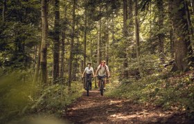 Trekkingstrecke durch den westlichen Wienerwald, &copy; Wienerwald Tourismus GmbH / Christoph Kerschbaum