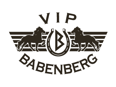 &copy; VIPbabenberg