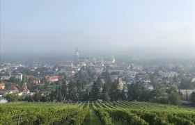 Blick auf die Riedenlandschaft und das Stift Klosterneuburg, © Wienerwald
