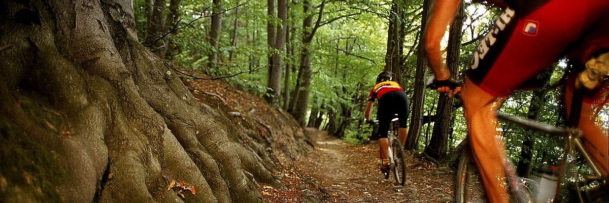 Mountainbiken im Wienerwald, © derstandard