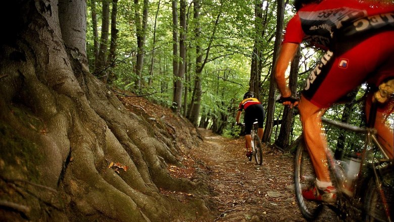 Mountainbiken im Wienerwald, © derstandard