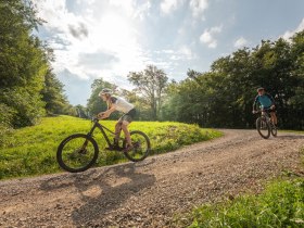 MTB Vienna Woods, &copy; Wienerwald Tourismus GmbH / Markus Fr&uuml;hmann