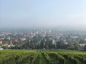 View of the vineyard landscape and Stift Klosterneuburg Abbey, &copy; Wienerwald