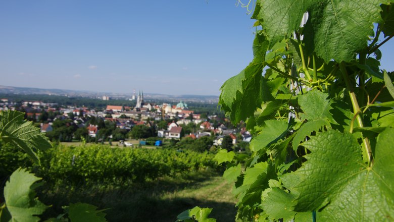 Klosterneuburg, &copy; Klbg