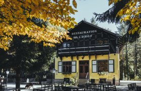 Ein gelbes Geb&auml;ude mit der Aufschrift 'Restauration Waldhof' umgeben von B&auml;umen und einem gro&szlig;en Gastgarten mit Tischen und B&auml;nken.