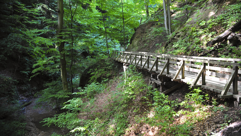 Hagenbach gorge in the oak grove, &copy; Naturparke Nieder&ouml;sterreich/Robert Herbst